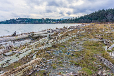 A view of the waterfront in port townsend, washington.