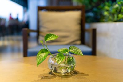 Close-up of drink on table