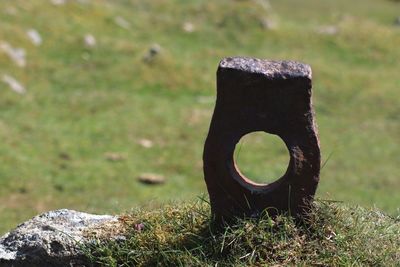 Close-up of rusty machine on grassy field