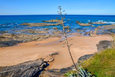 Scenic view of sea against clear sky