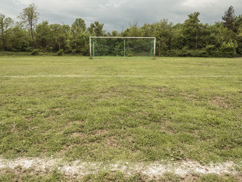 Trees on field against sky