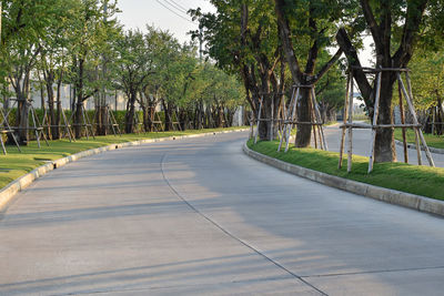 View of footpath in park