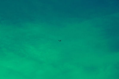 Low angle view of airplane flying in sky