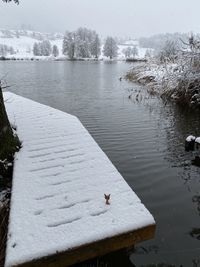 View of swan floating on lake