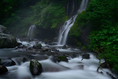 Scenic view of waterfall in forest