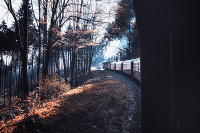 View of train in forest during winter
