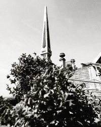 Low angle view of plants against building