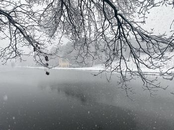 Reflection of bare tree in lake during winter