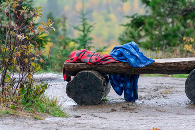 Rear view of man working on field