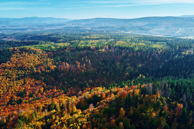 Aerial view of mountains covered with autumn forest