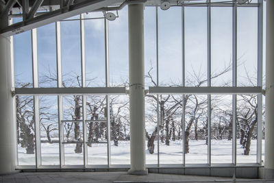 Trees against sky seen through columns