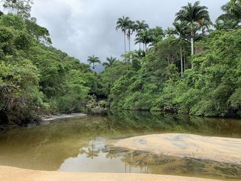 Scenic view of tropical river against sky on ilha grande rio de janeiro 