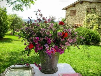 Plants growing in garden