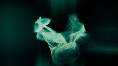 Close-up of smoke against black background