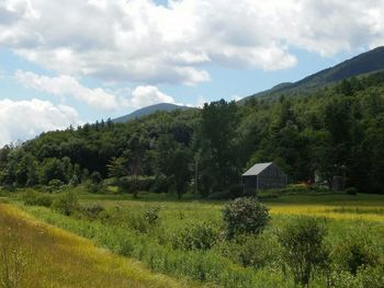 Scenic view of landscape against cloudy sky