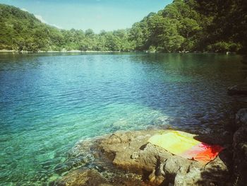Scenic view of trees against sky