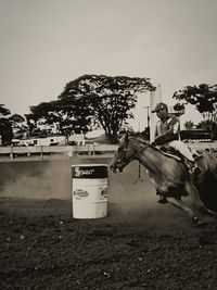 View of horse on field against sky