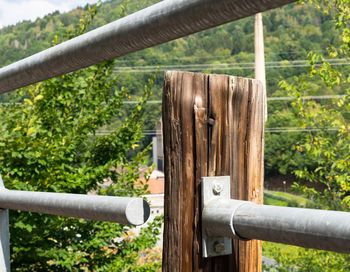 Close-up of metal fence against trees