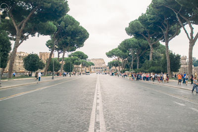 People walking on road