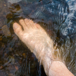 Man swimming in sea