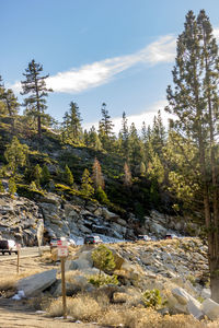 Scenic view of tree mountains against sky