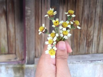 Cropped hand holding flowers against wall