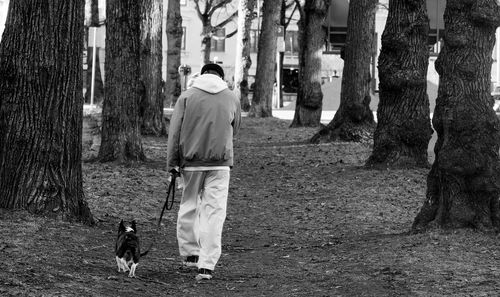 Rear view of man walking with dog in background