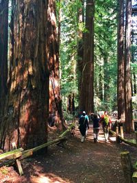 People in forest