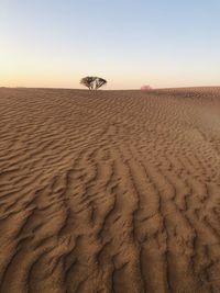 View of a desert