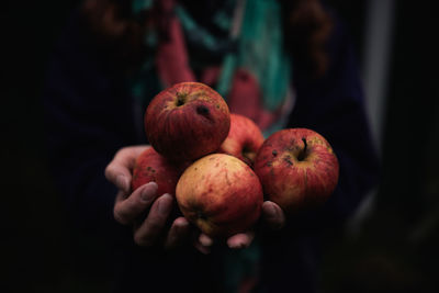 Close-up of hand holding apples