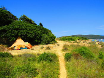 Trees on field against clear blue sky