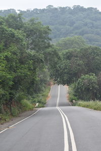 Road amidst trees and mountains