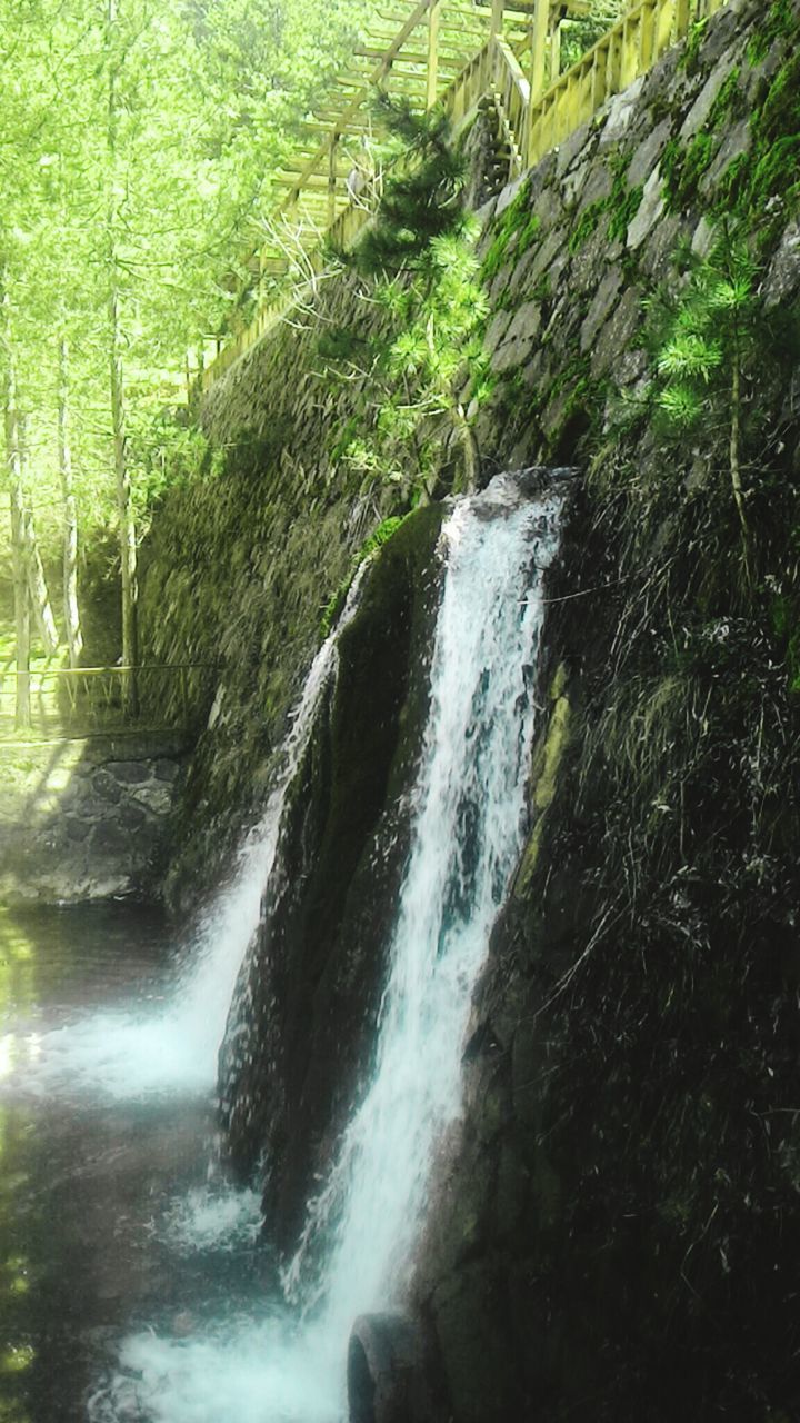 water, motion, waterfall, flowing water, long exposure, flowing, forest, blurred motion, nature, rock - object, beauty in nature, stream, tree, splashing, plant, scenics, green color, outdoors, growth, day