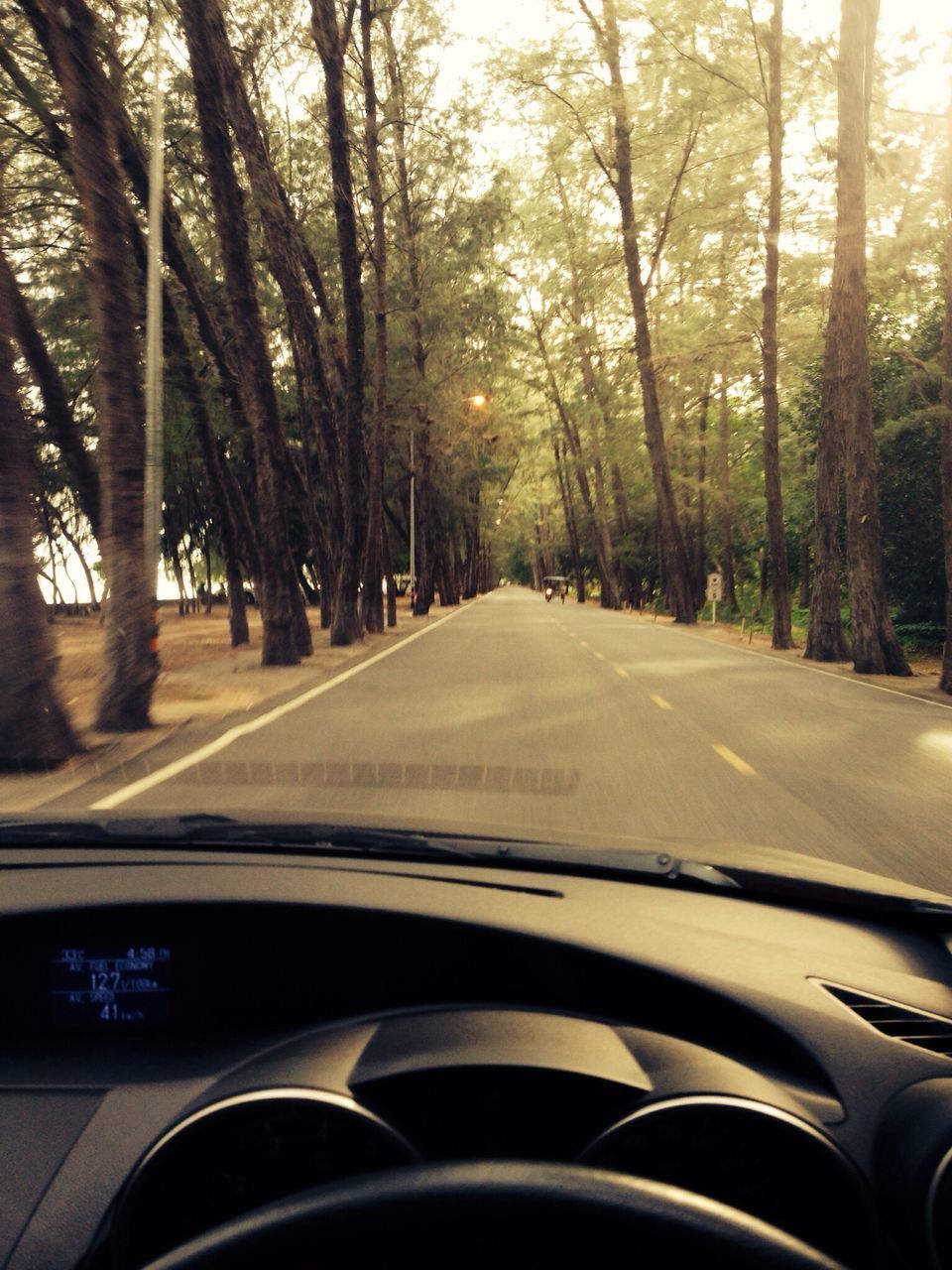 transportation, mode of transport, car, land vehicle, tree, windshield, road, vehicle interior, car interior, travel, glass - material, the way forward, part of, road marking, car point of view, cropped, transparent, on the move, diminishing perspective, road trip