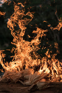 Close-up of bonfire