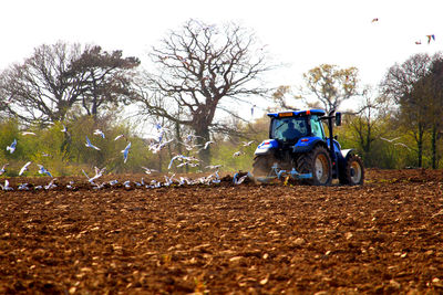 Man riding motorcycle on road by field against sky