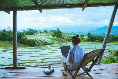 Rear view of woman using laptop while sitting on chair against rice paddy