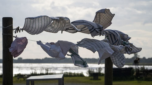 Close-up of clothes hanging on wood against sky