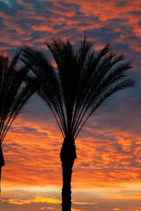 Low angle view of silhouette palm tree against romantic sky