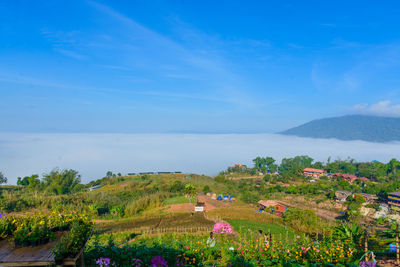 Scenic view of field against blue sky