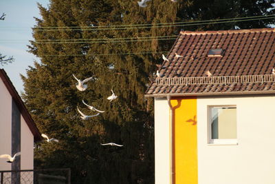 Low angle view of house