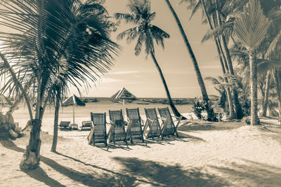 Palm trees on beach against sky