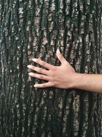 Close-up of hand on tree trunk in forest