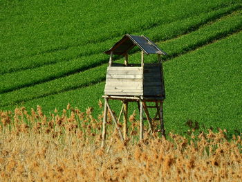 View of agricultural field