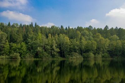 Scenic view of lake by trees against sky