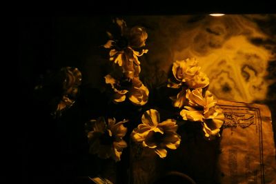 Close-up of yellow flowers against black background