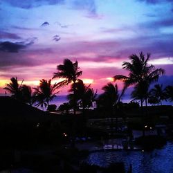 Silhouette of palm trees against cloudy sky