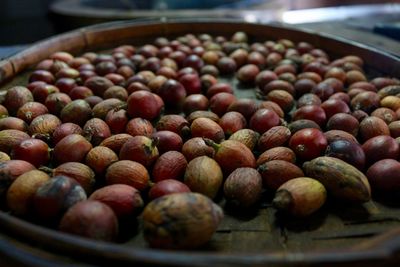 Close-up of raw coffee beans in plate