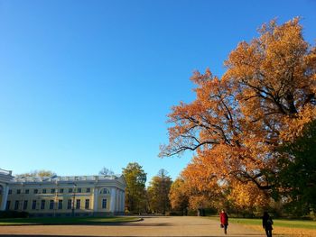 People walking in park