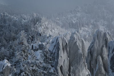 Scenic view of snow covered landscape